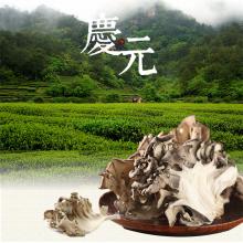 百山祖有机灰树花